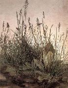 Albrecht Durer, The Large Turf